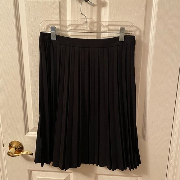 Pleated Wool Skirt - Picture 1 of 5